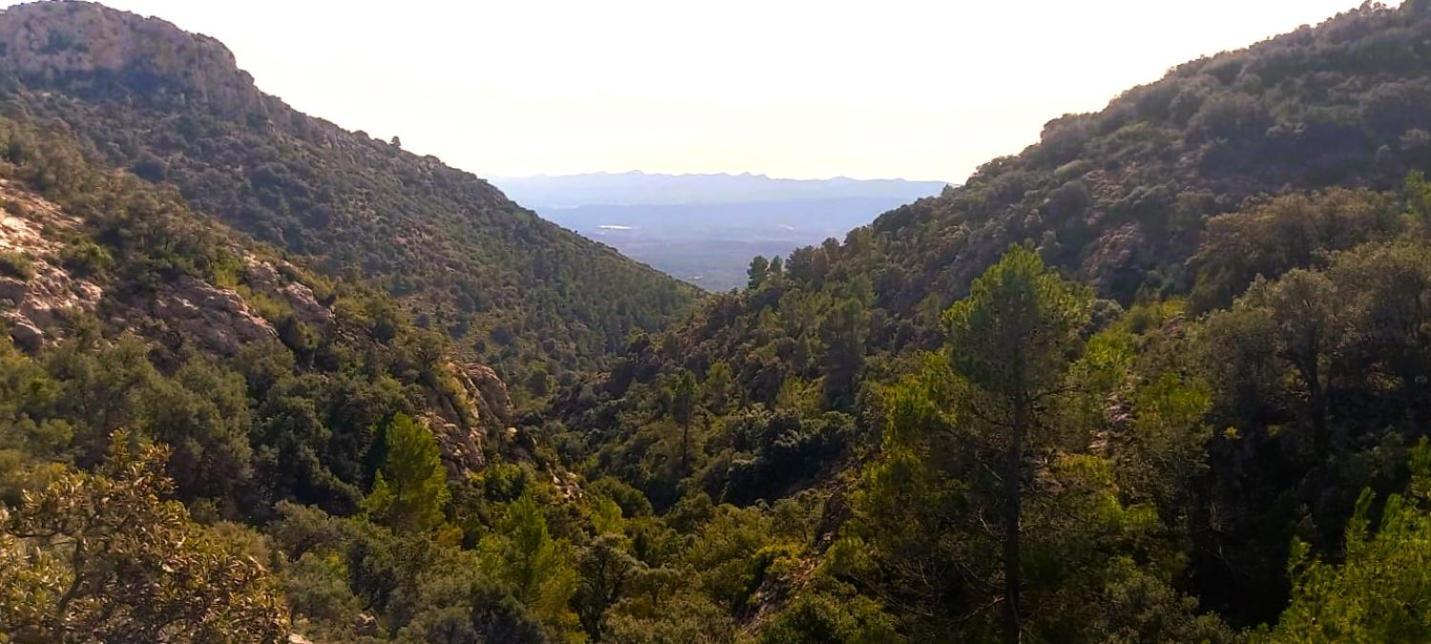 Casa Rural Matilde Caudiel エクステリア 写真